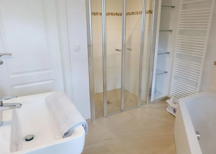 Heidehues Seestern * Nebel