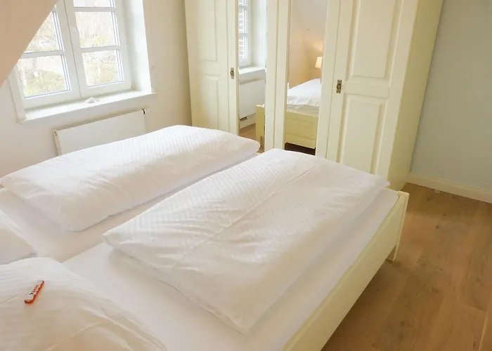 Heidehues Seestern * Nebel