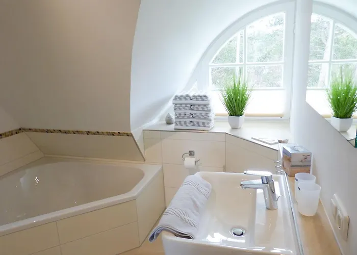 Heidehues Seestern * Nebel