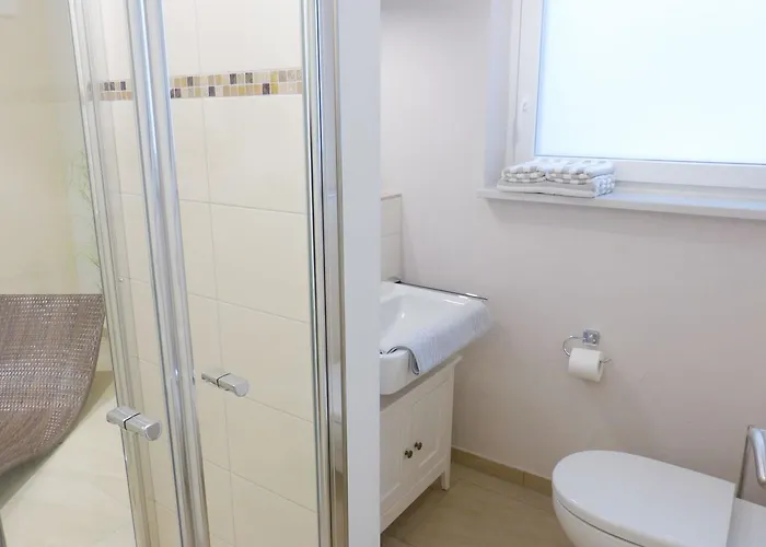 Heidehues Seestern * Nebel