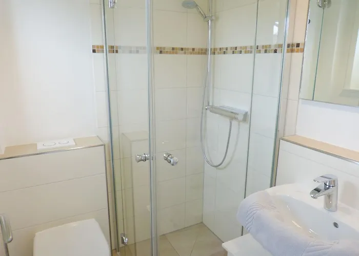 Heidehues Seestern * Nebel